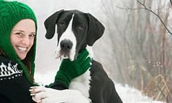 Great Dane with young girl. 