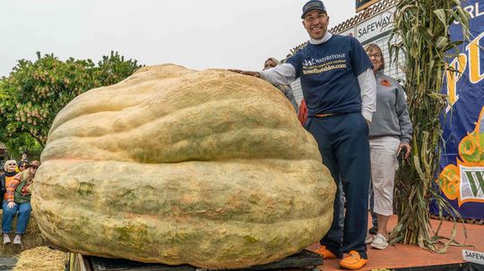 How Do You Grow a 2,000-pound Pumpkin?