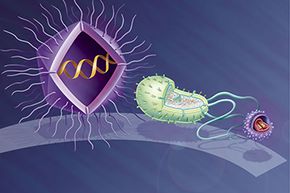 艺术家绘制的Mimivirus(左)与大肠杆菌(中)和普通病毒(右)的对比图。＂border=