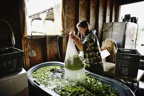 Sixty percent of the female farmers in the U.S. make less than $5,000 in annual sales. Only 3 percent of commercial farms are led by women.