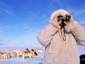 Since global warming has affected polar bear populations, Inuit hunters find their traditions slipping away. See more arctic animal pictures.