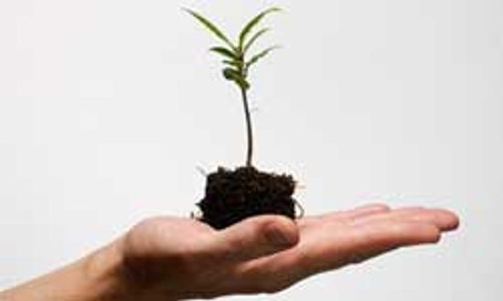 对孩子自然编织工艺品