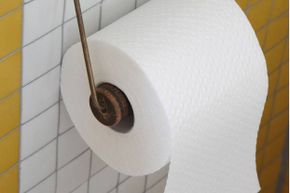 Did you know that the correct way to hang a roll of toilet paper is with the paper away from the wall?
