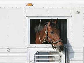 A horse trailer