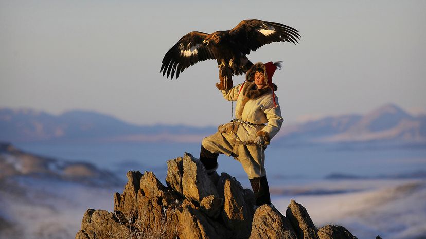Golden eagle and hunter on mountaintop