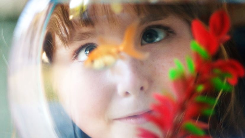 girl looking at goldfish in bowl