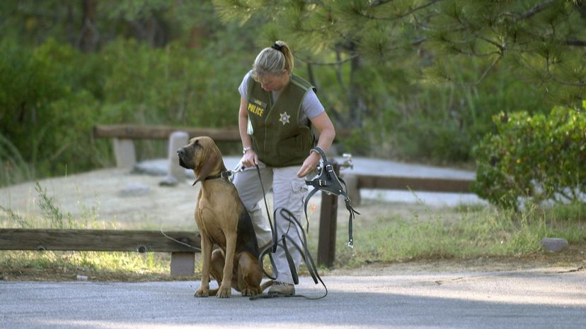 2004 search for 9-year-old David Gonzales