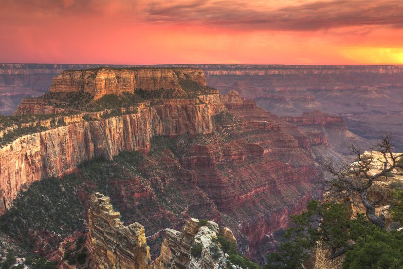 The Ultimate Grand Canyon National Park Quiz