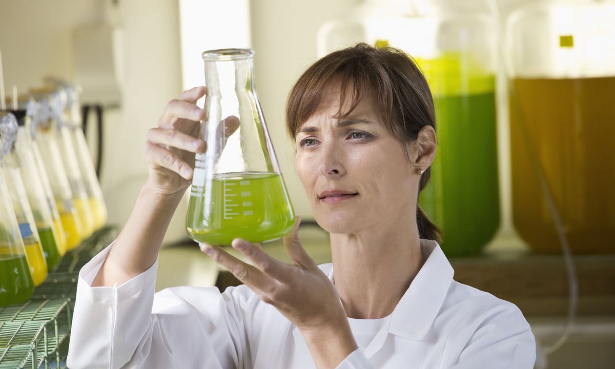 Can we fuel cars with grass? HowStuffWorks