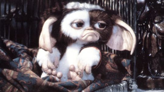 How Mogwai and Gremlins Work