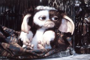 Mogwai initial proof of concept prototypes : r/Gremlins