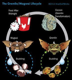 How Mogwai and Gremlins Work