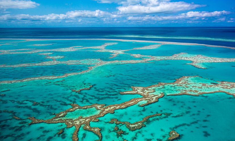 The Ultimate Great Barrier Reef Quiz
