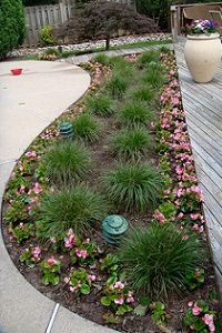 五颜六色的一年生植物和覆盖物创造了一个精心修剪的花园。＂width=