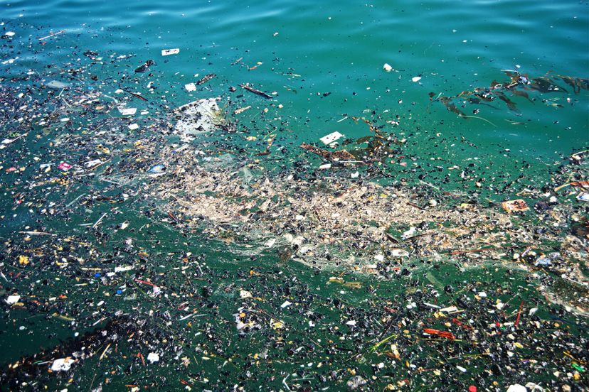 The Ultimate Great Pacific Garbage Patch Quiz