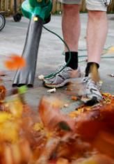 leaf blower