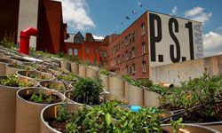 Urban farmers do it on the rooftops. 