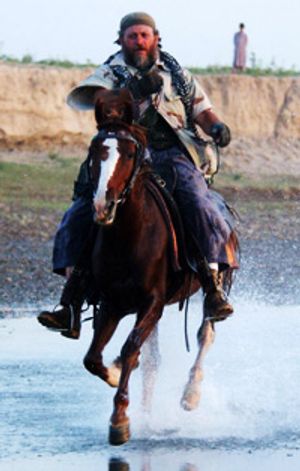 How the Green Berets Work