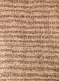 这是剑麻。令人兴奋，不是吗?＂width=