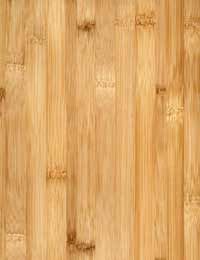 Bamboo floors come in several shades, like this hardwood look-alike color.