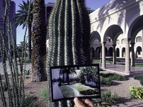 用节水技术栽培的花园＂width=