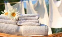 green laundry cleaning tips
