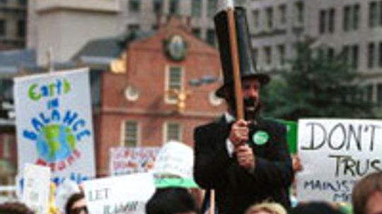 How the Green Party Works