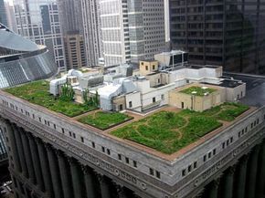 The Chicago City Hall green roof helps cool the building and minimize water run-off. See more green living pictures.