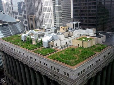 The Chicago City Hall green roof helps cool the building and minimize water run-off.