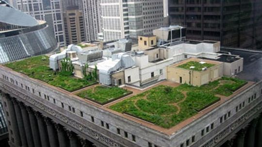 What Is a Green Roof?