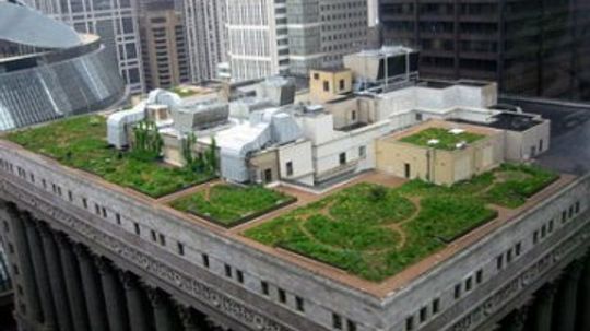 Green Roofs And White Roofs: Low Tech Ways To Save Tons Of Energy