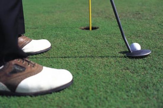 18新利最新登入怎么草绿党在高尔夫球场上如此完美?”class=