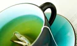 Cup of green tea.