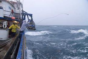 Seattle-based Alaska crab fleet alerted to new hazard: They're