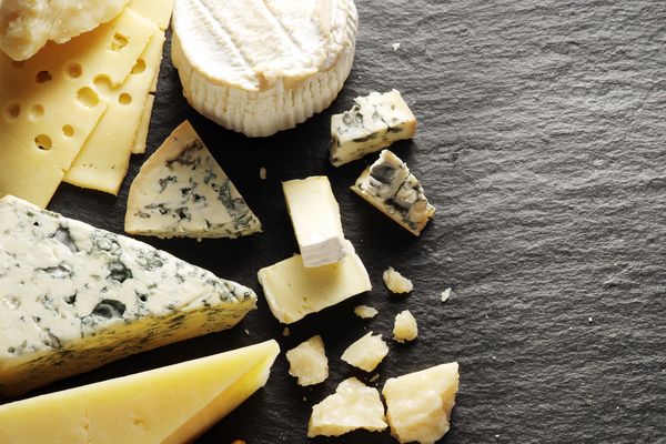 A collection of different cheese varieties.