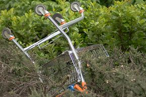 grocery cart in bushes