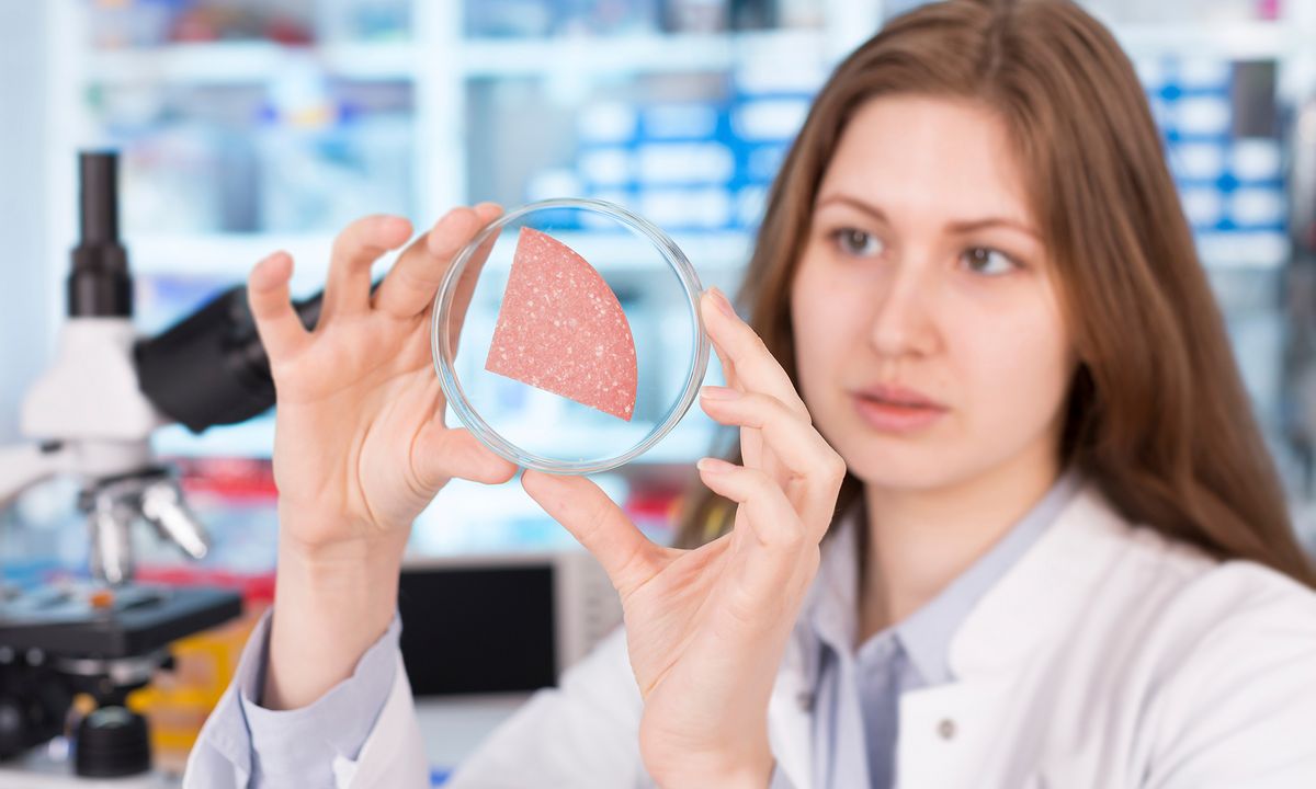 How do you grow meat in a lab? HowStuffWorks