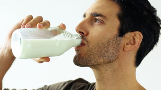 Are humans built to drink milk as adults?
