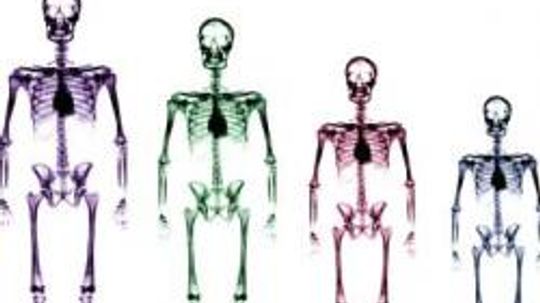 16 Unusual Facts About the Human Body