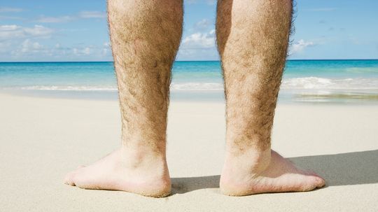 Why Do Humans Have Body Hair?