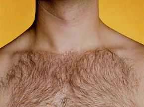 chest hair