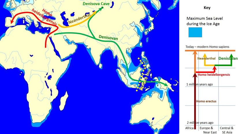 Denisovan movement