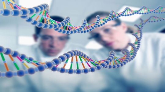 Scientists Have Finally Filled the 8 Percent Gap in the Human Genome