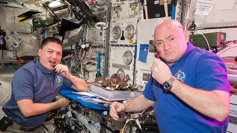 Scott Kelly, Kjell Lindgren, food, space station