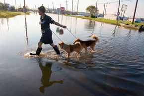 Racelle Carlson from the Arizona Humane Society leads two rescued dogs from a flooded neighborhood in New Orleans, La., to a processing area where the dogs will be examined, fed and evacuated to area shelters on September 6, 2005.