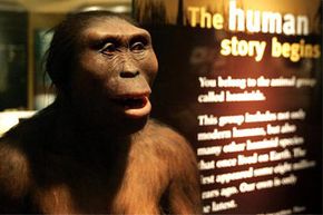 A representation of Lucy welcomes visitors to Chicago's "Evolving Planet" exhibit at the Field Museum.”width=