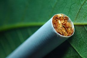 Cigarette on tobacco leaf