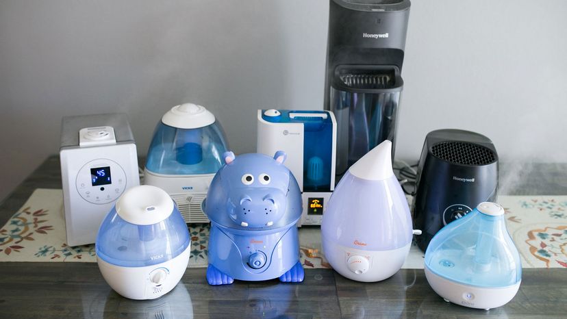 A collection of nine humidifiers sit on a table.