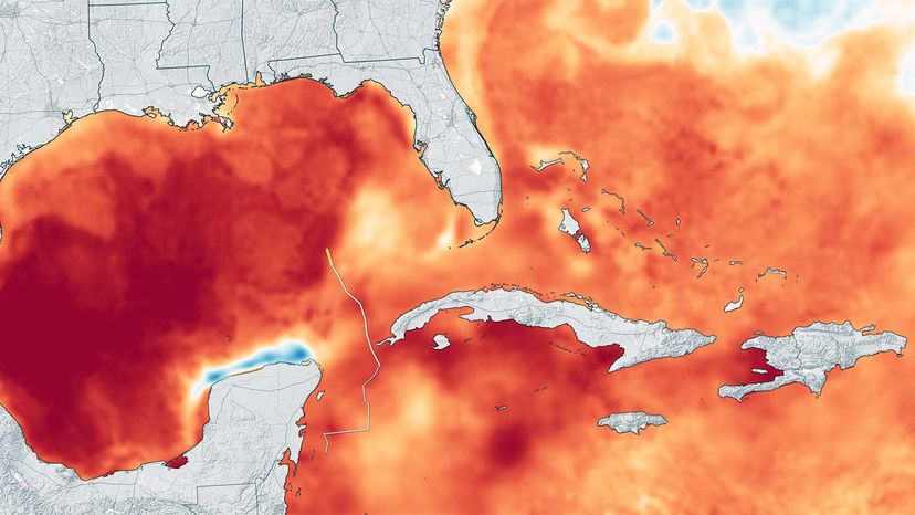 飓风迈克尔”width=