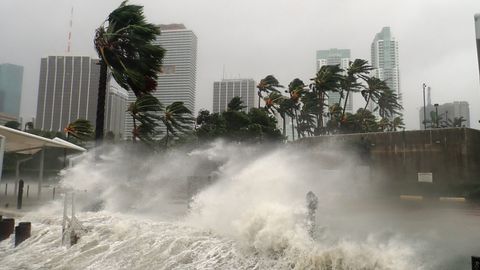Understanding Hurricane Irma: Impacts, Recovery, and How to Help - Vimarsana News